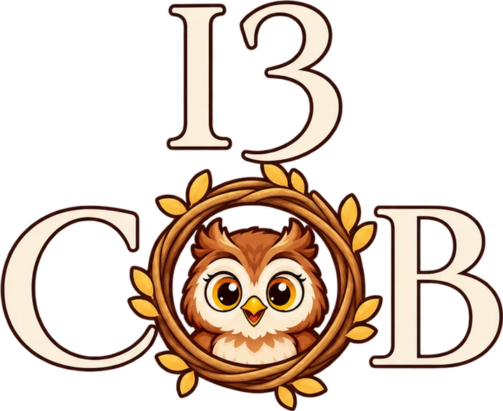 Интеллектуальная игра «13 СОВ»